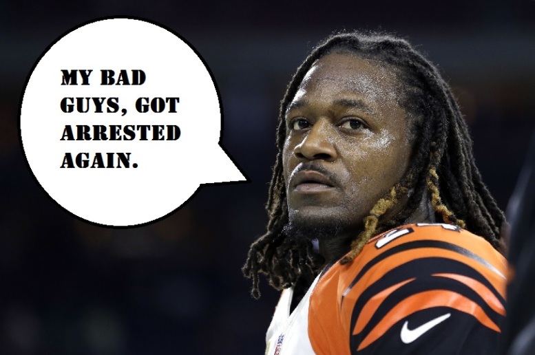 Image result for bengals suck